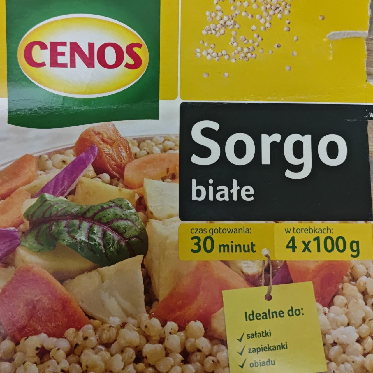 Zdjęcia - Sorgo białe Cenos