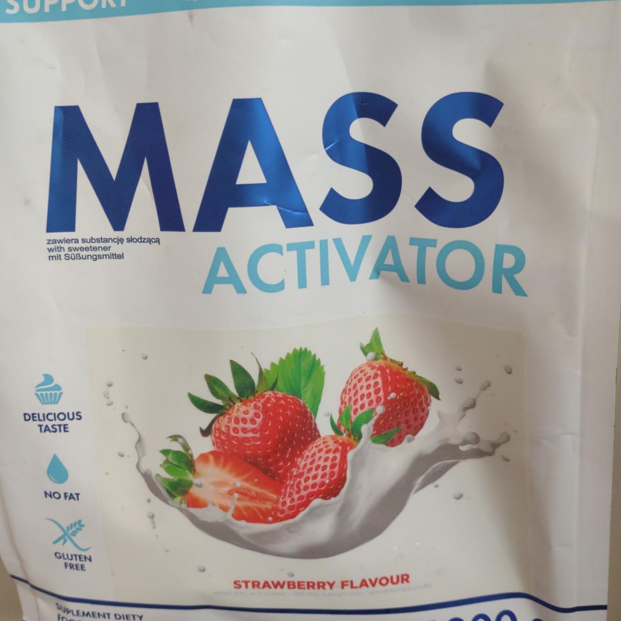 Zdjęcia - Mass Activator Strawberry SFD Nutrition