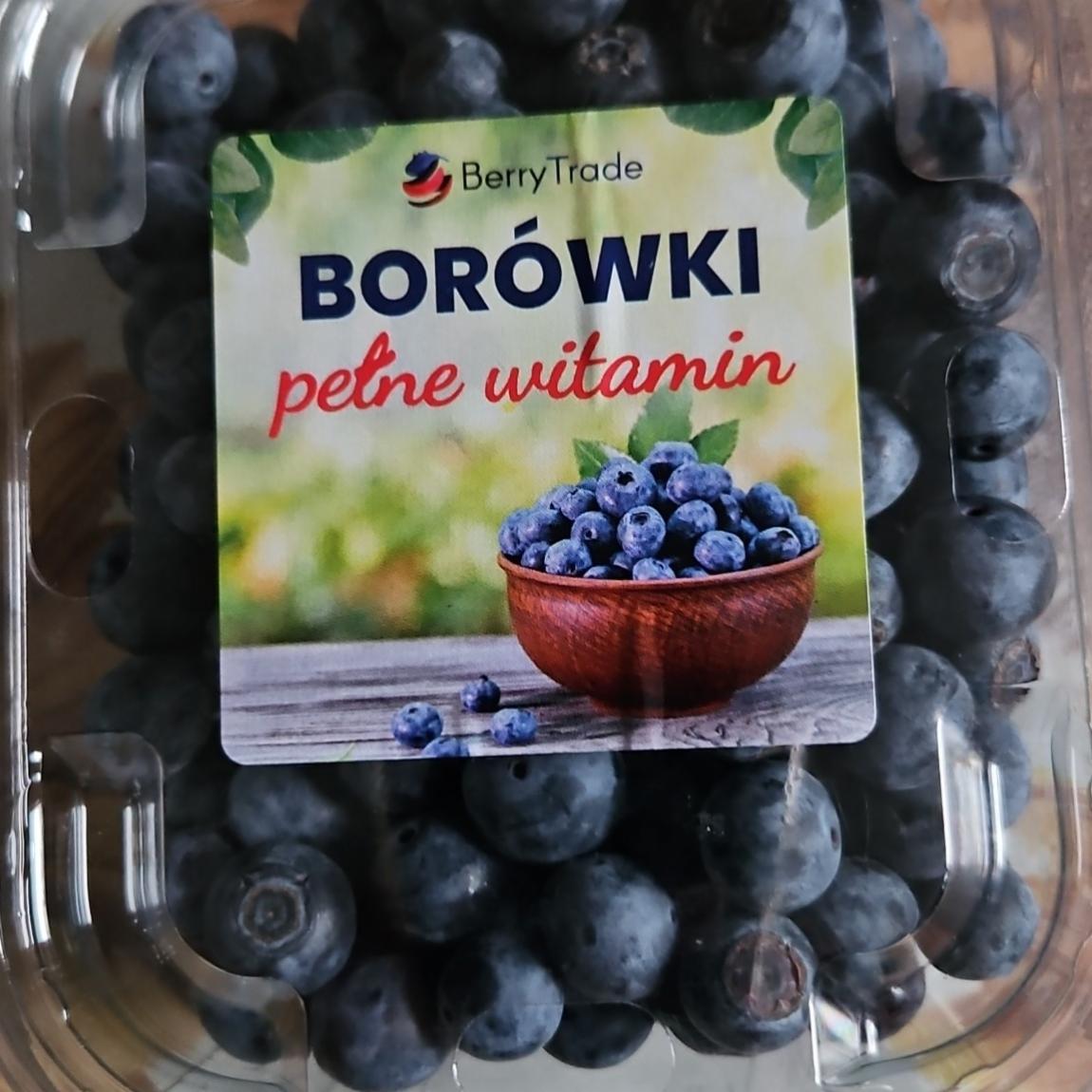 Zdjęcia - Borówki BerryTrade