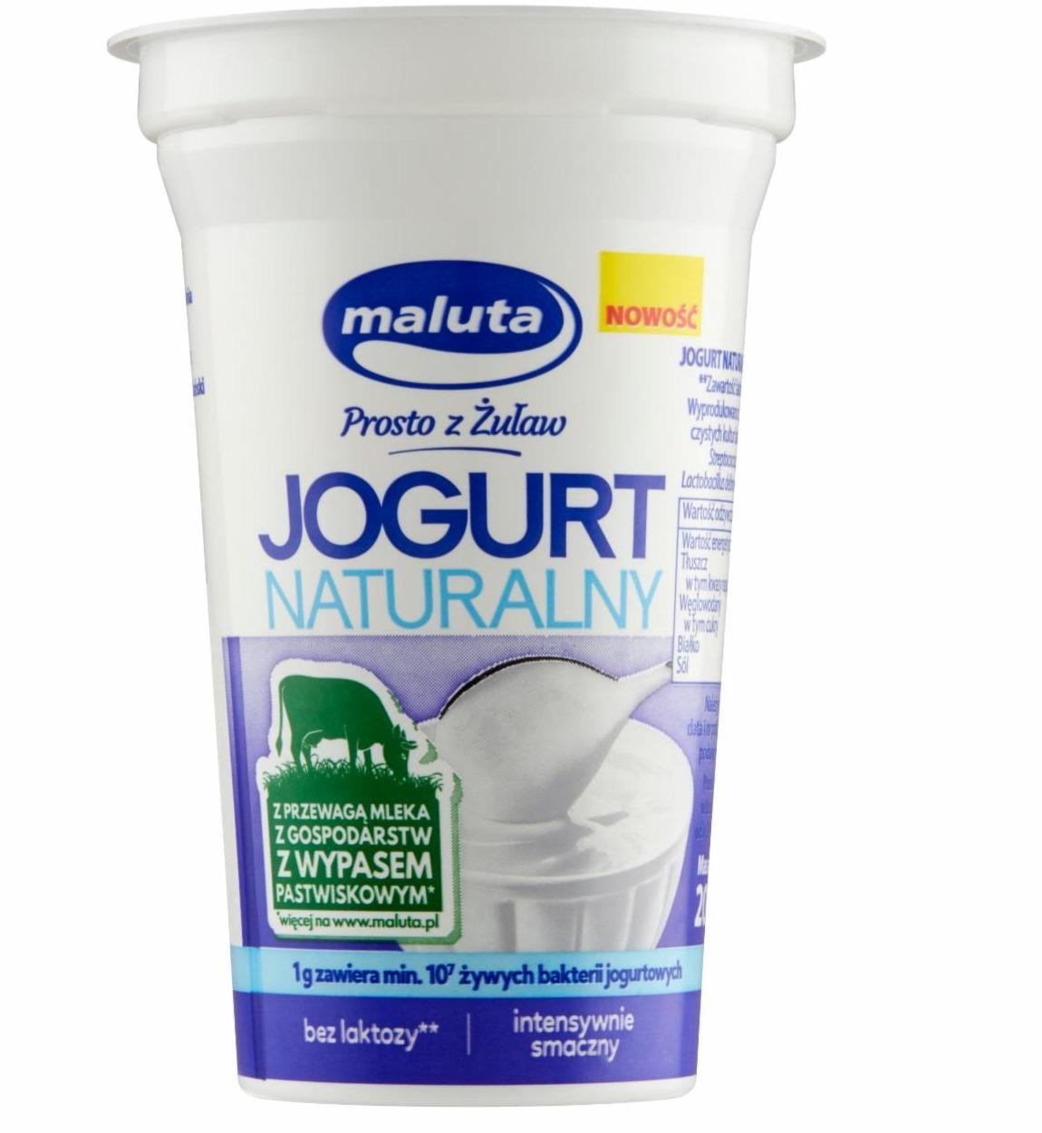 Zdjęcia - Maluta Jogurt naturalny bez laktozy 200 g