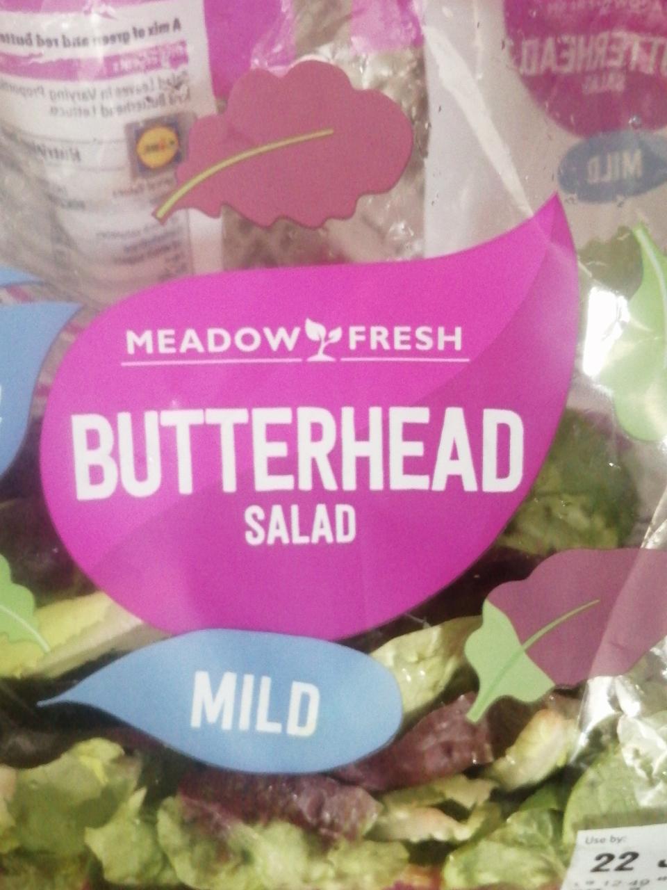 Zdjęcia - Butterhead salad Meadow Fresh
