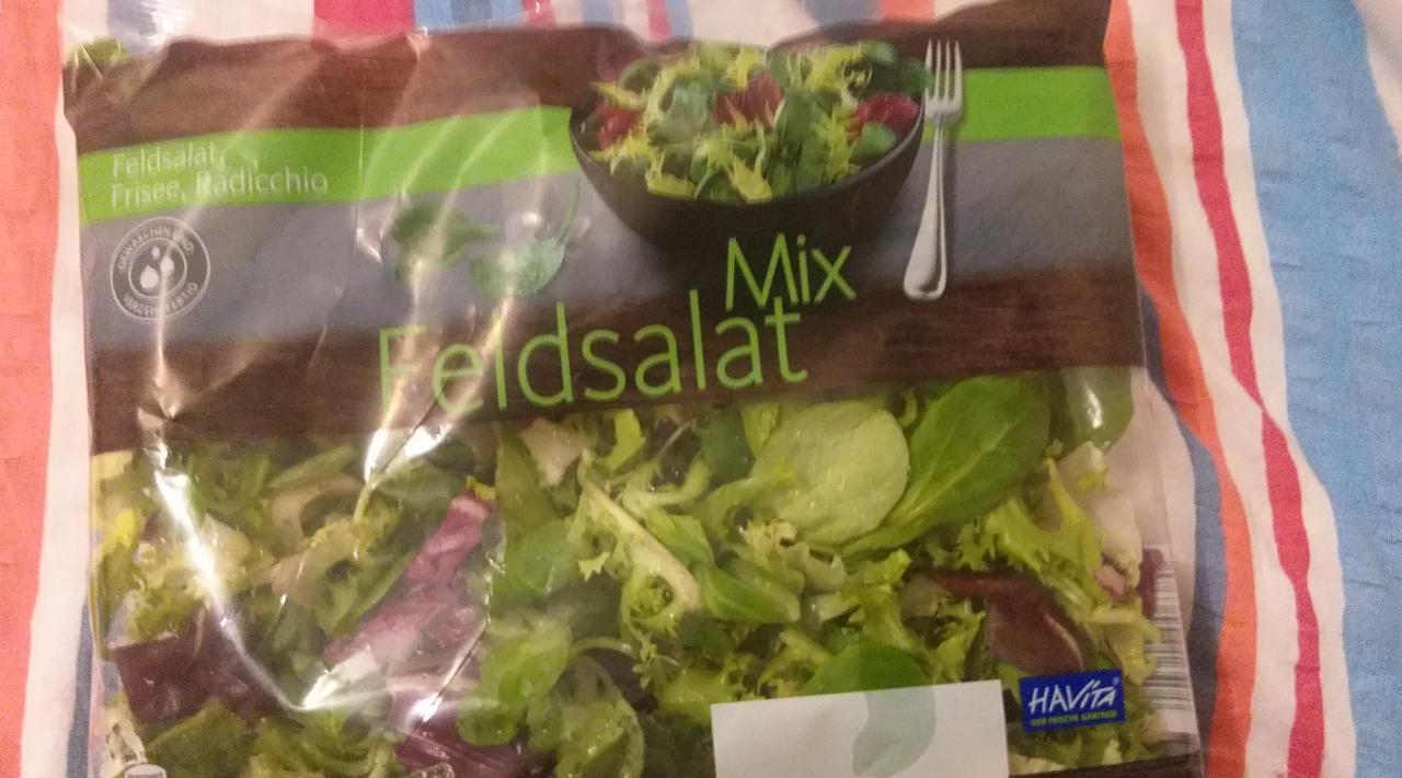 Zdjęcia - Mix Feldsalat