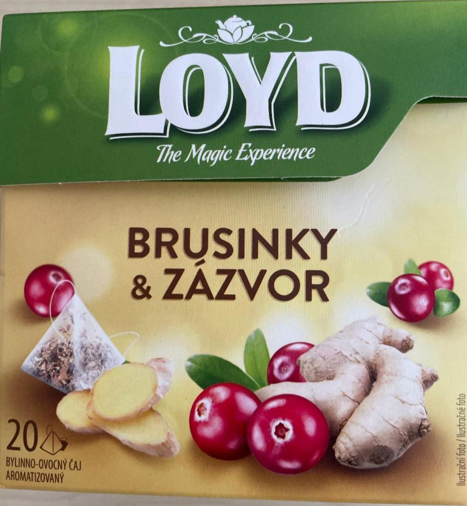 Zdjęcia - Herbata Loyd Tea borówka cynamon