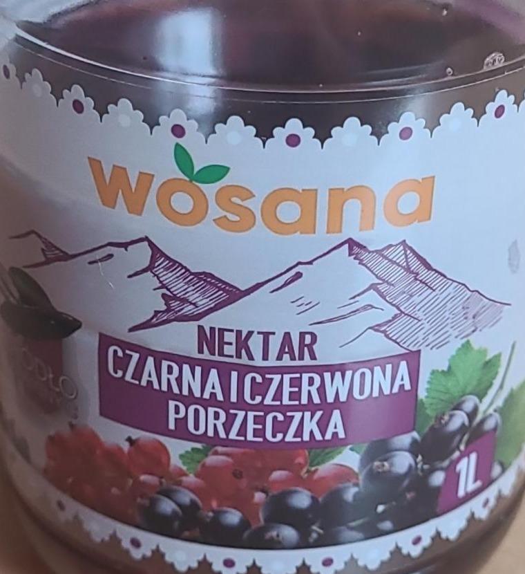 Zdjęcia - Nektar czarna i czerwona porzeczka wosana