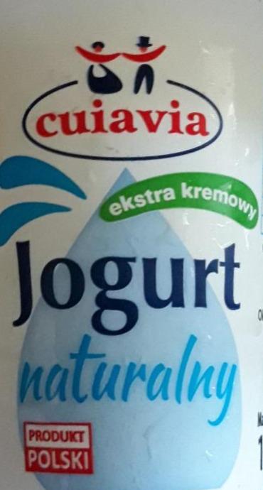 Zdjęcia - jogurt naturalny cuiavia