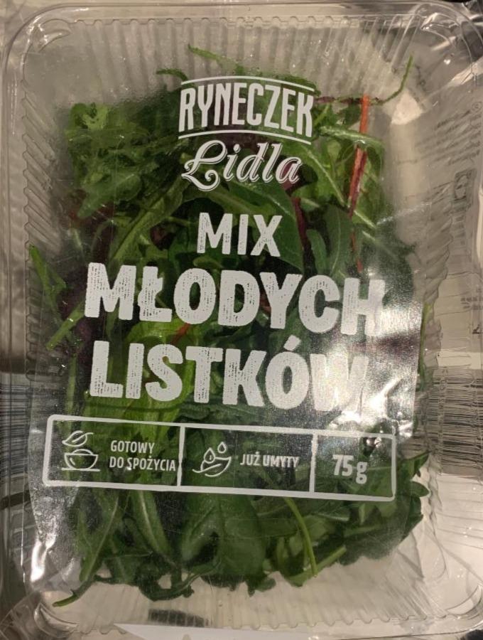 Zdjęcia - Mix Młodych Listków Ryneczek Lidla