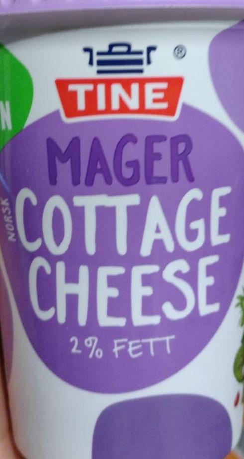 Zdjęcia - Mager Cottage Cheese tine