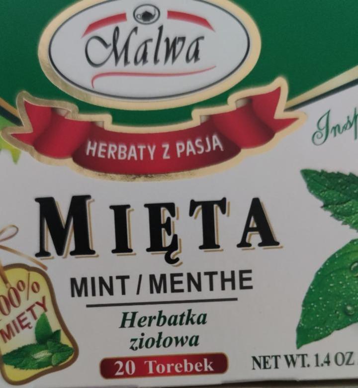 Zdjęcia - herbata miętowa malwa