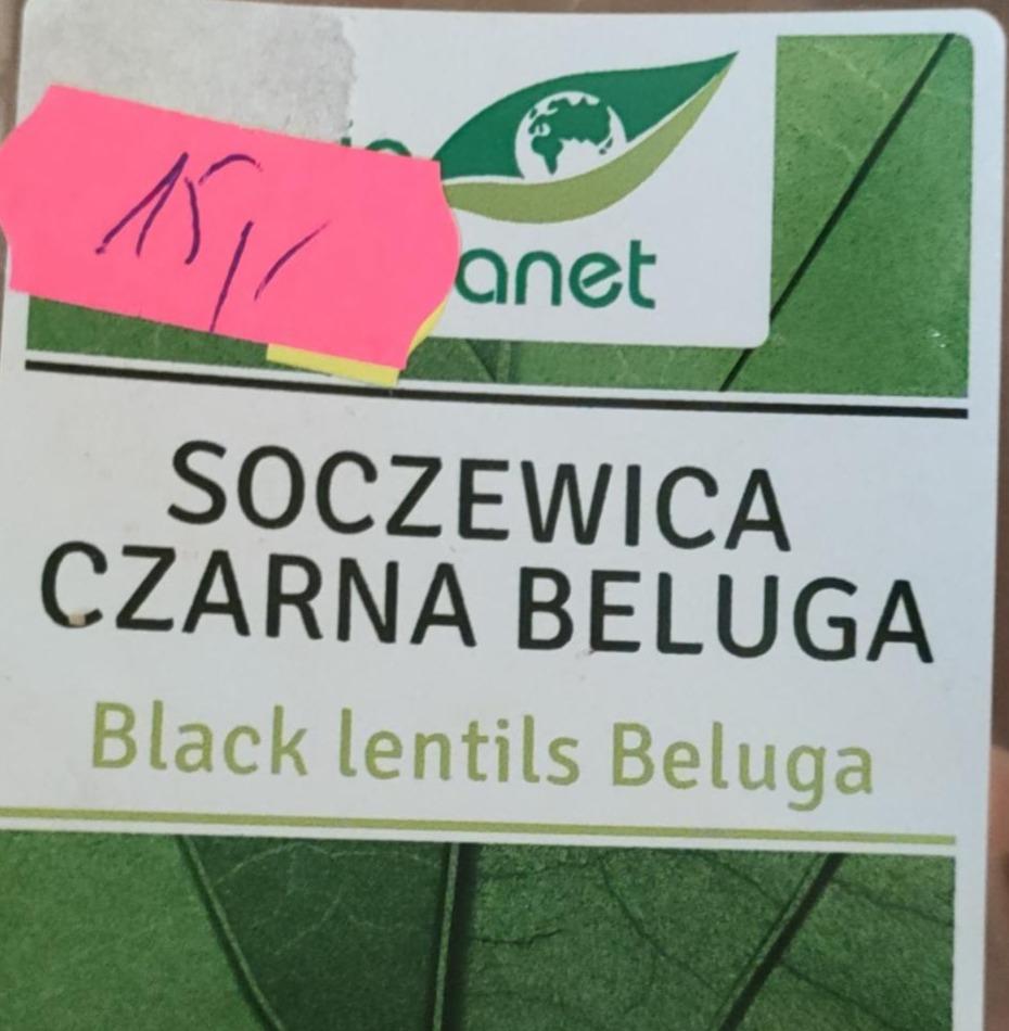 Zdjęcia - Soczewica czarna Bio Planet