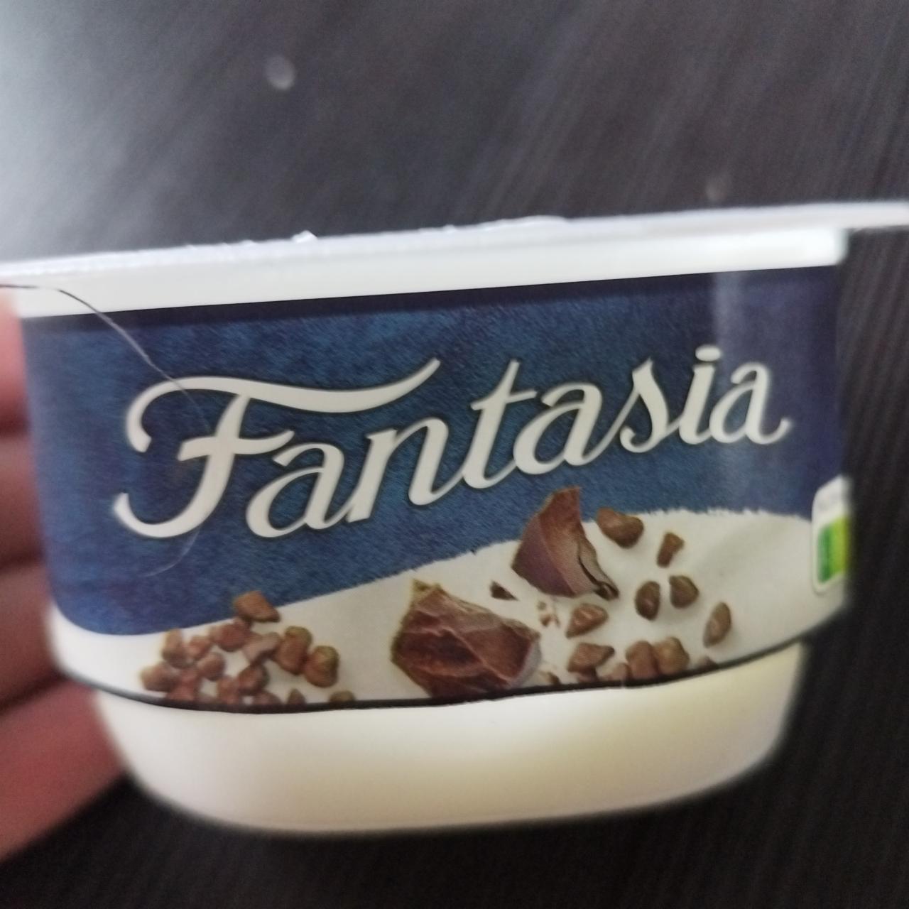 Zdjęcia - Fantasia Jogurt kremowy z kawałkami czekolady mlecznej 106 g