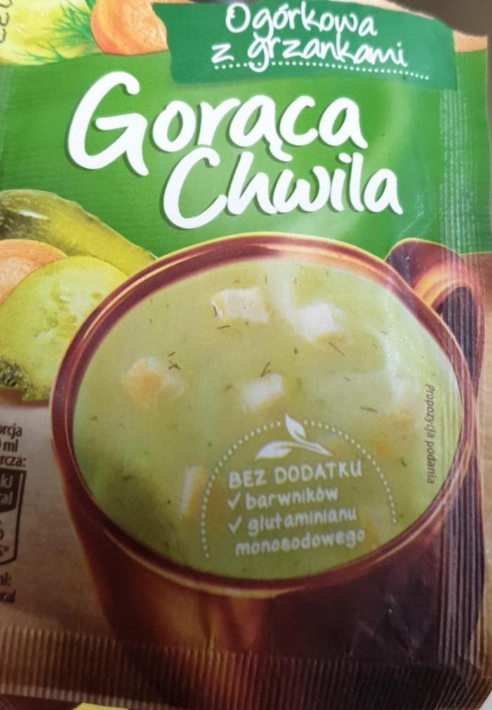 Zdjęcia - gorąca chwila zupa ogórkowa 