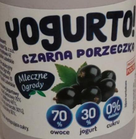 Zdjęcia - Yogurto! czarna porzeczka