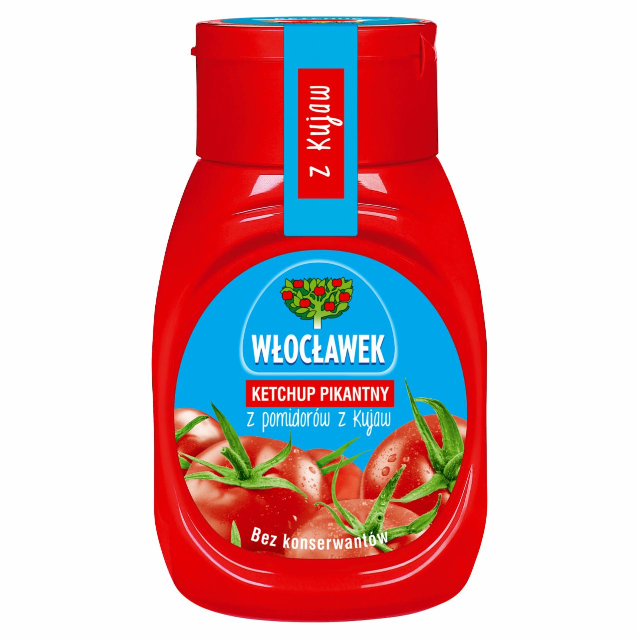 Zdjęcia - Włocławek Ketchup pikantny 250 g