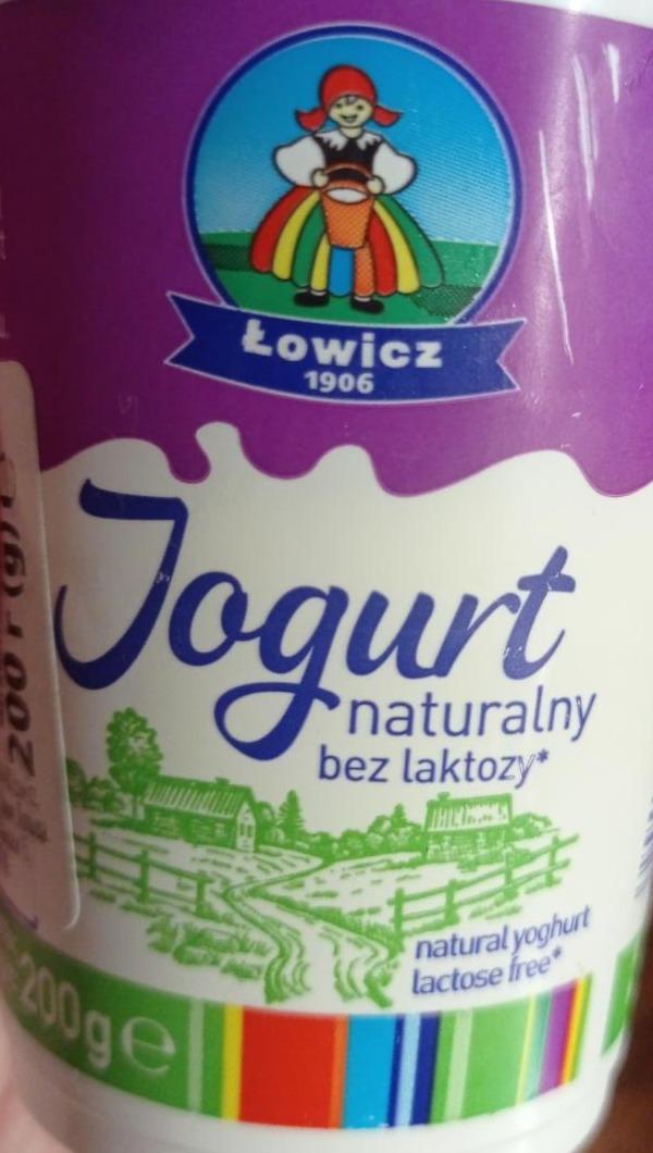 Zdjęcia - Łowicz Jogurt naturalny bez laktozy 200 g
