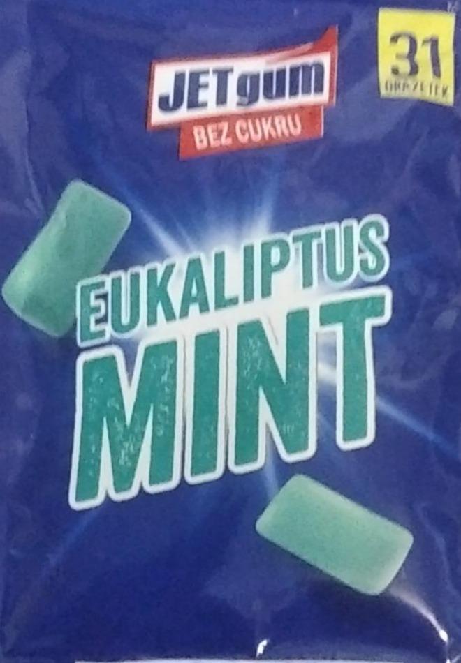 Zdjęcia - JETgum eukaliptus mint