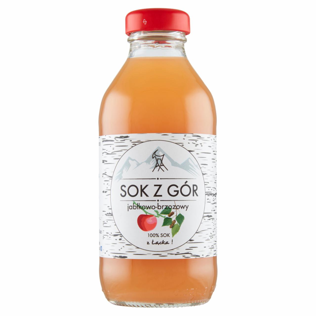 Zdjęcia - Sok z gór Sok jabłkowo-brzozowy 330 ml