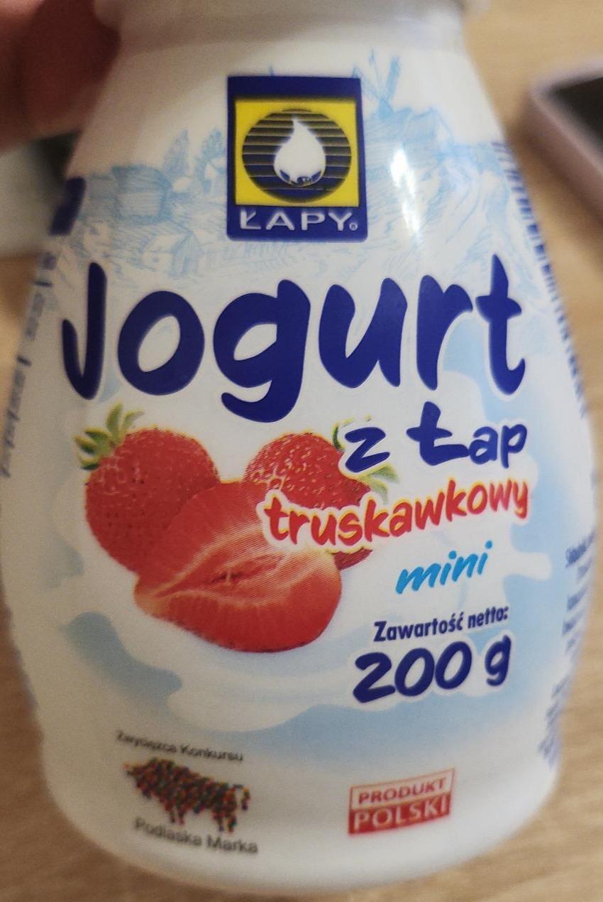 Zdjęcia - Jogurt z łap truskawkowy Łapy