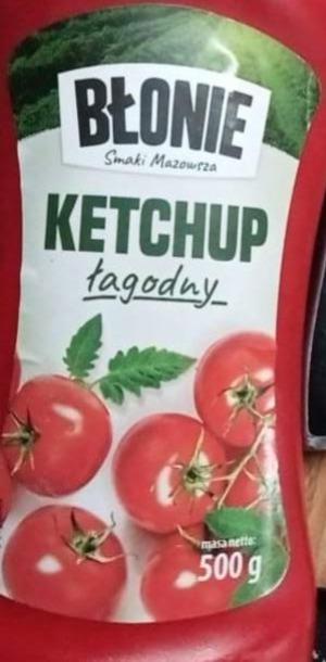 Zdjęcia - Ketchup Błonie łagodny