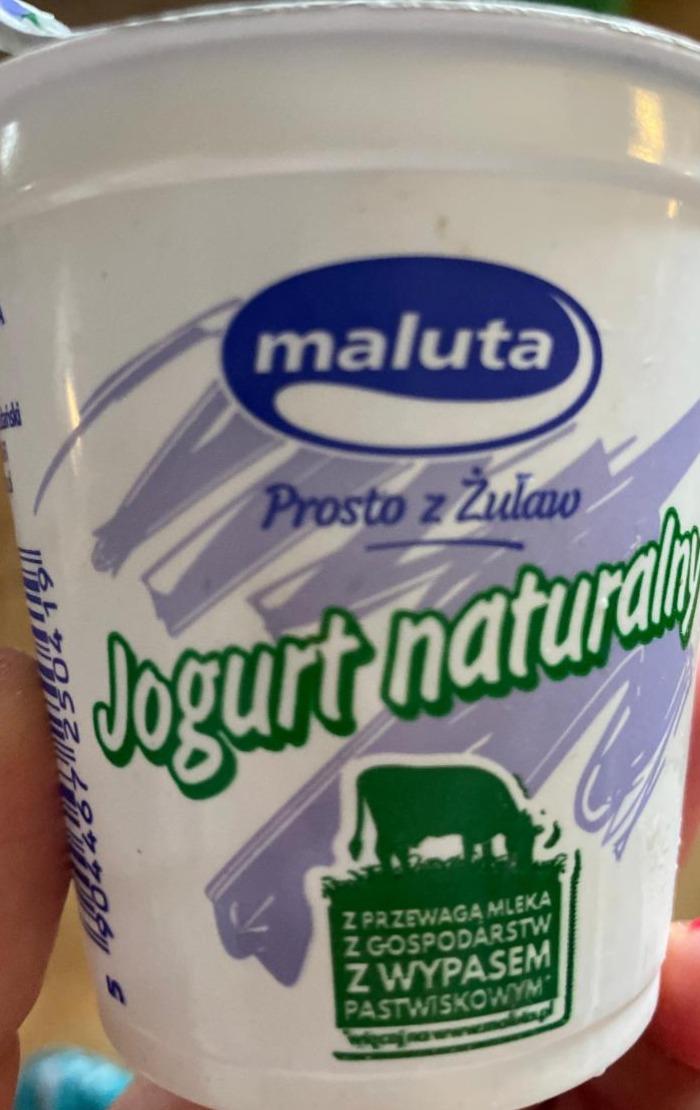 Zdjęcia - Jogurt naturalny maluta