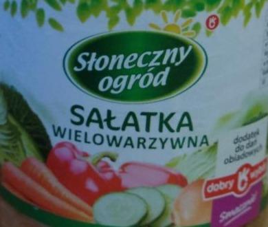 Zdjęcia - Słoneczny ogród Sałatka wielowarzywna