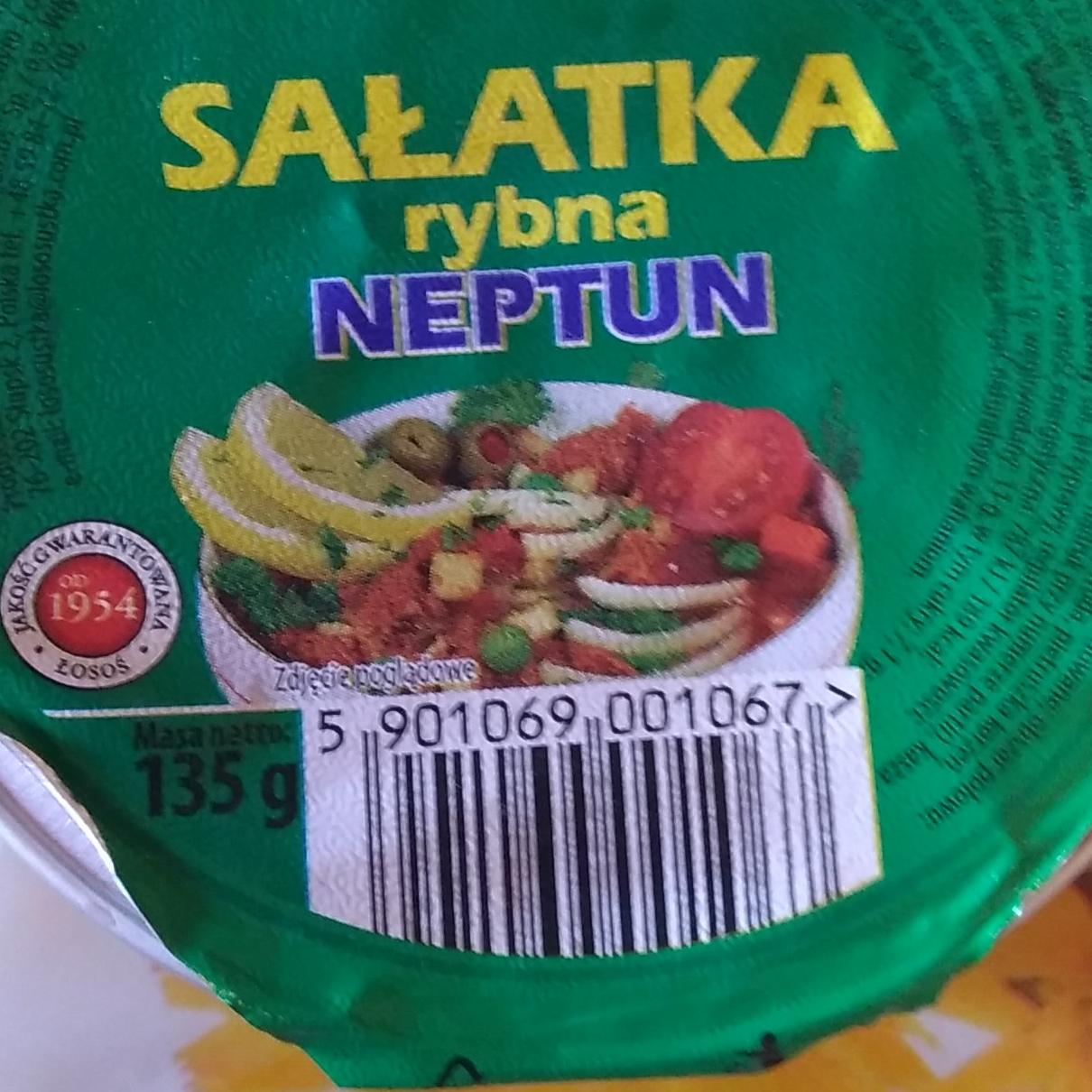 Zdjęcia - Salatka rybna Neptun