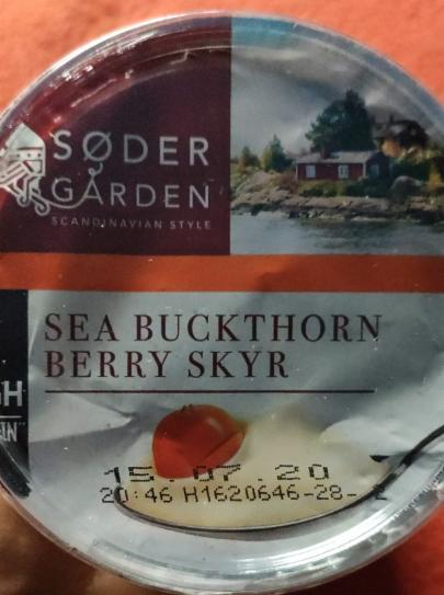 Zdjęcia - Skyr Sea Buckhorn Berry Soder Garden