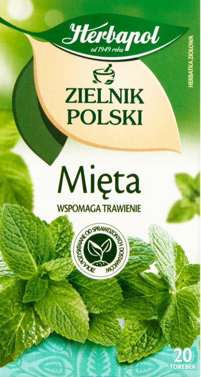 Zdjęcia - Zielnik Polski Herbatka ziołowa mięta Herbapol