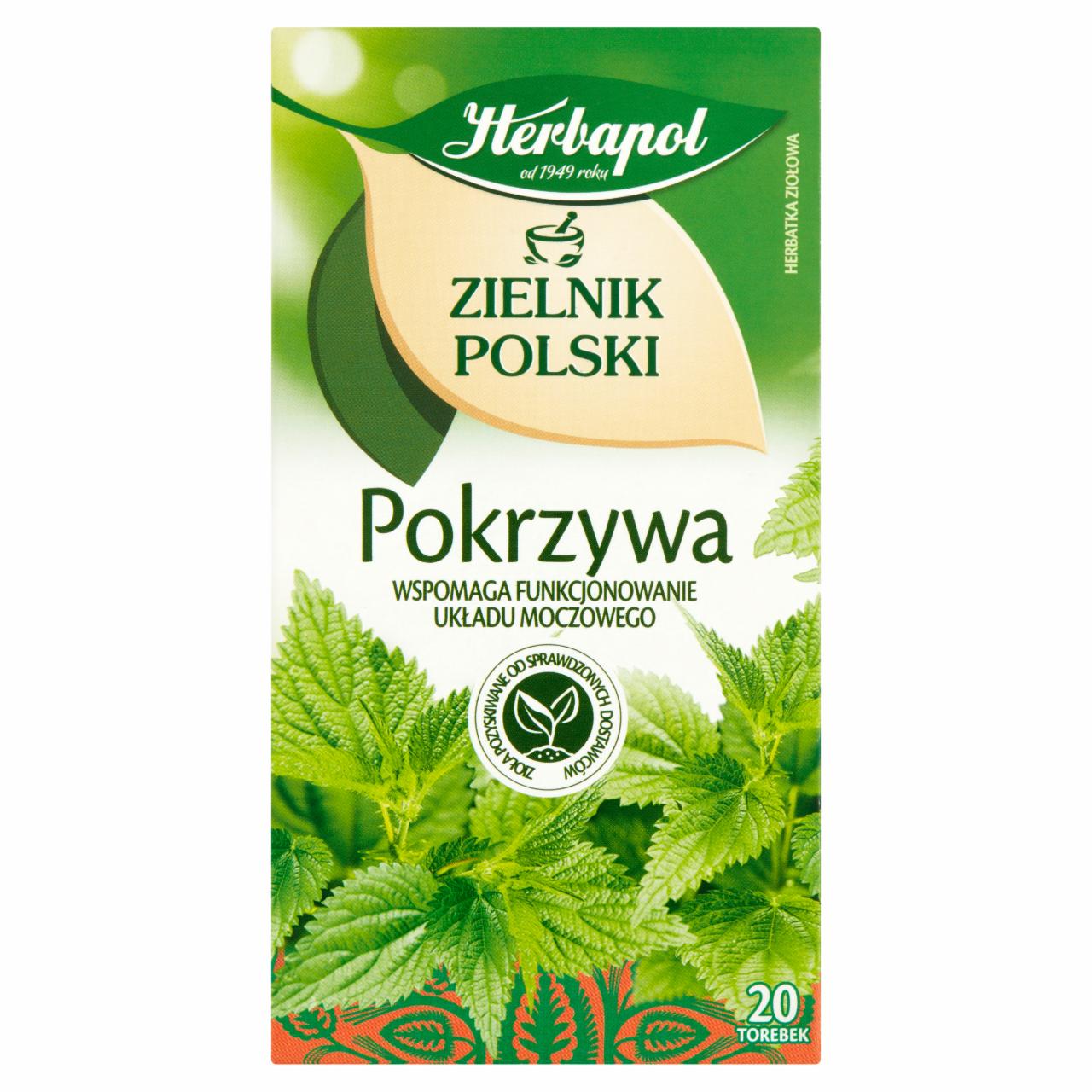 Zdjęcia - Herbapol Zielnik Polski Herbatka ziołowa pokrzywa 30 g (20 x 1,5 g)