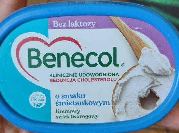 Zdjęcia - Benecol Kremowy serek twarogowy bez laktozy o smaku śmietankowym 120 g