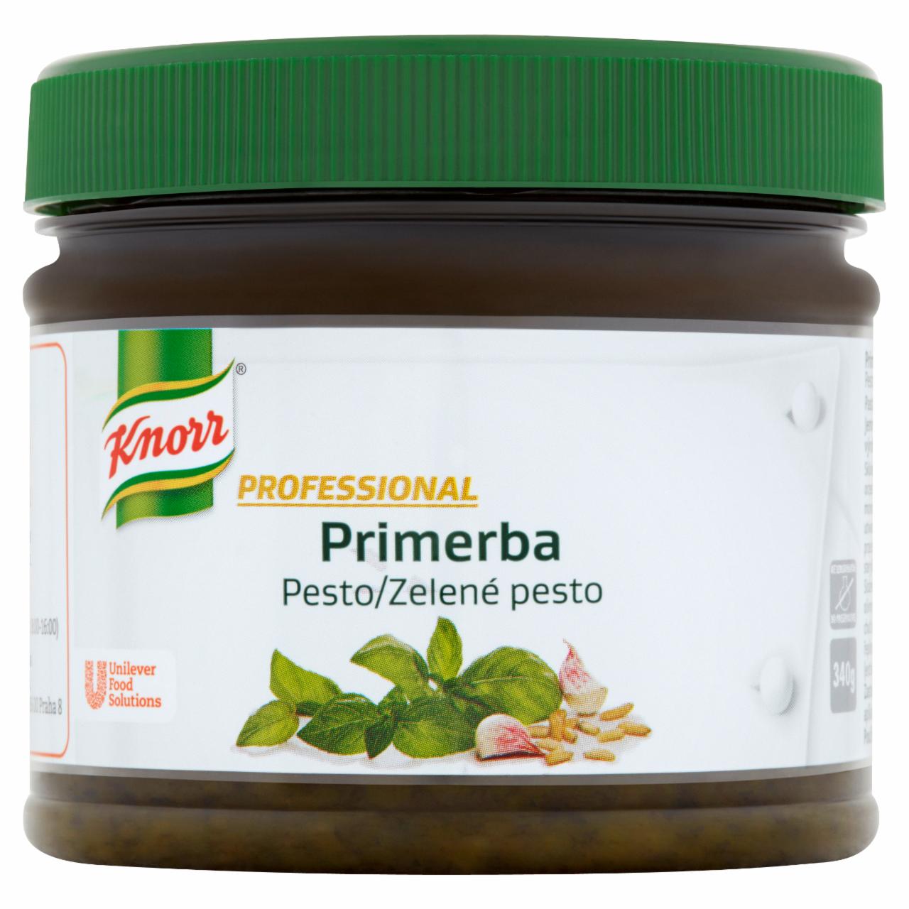 Zdjęcia - Knorr Professional Primerba pesto Pasta ziołowa do przyprawiania potraw 340 g