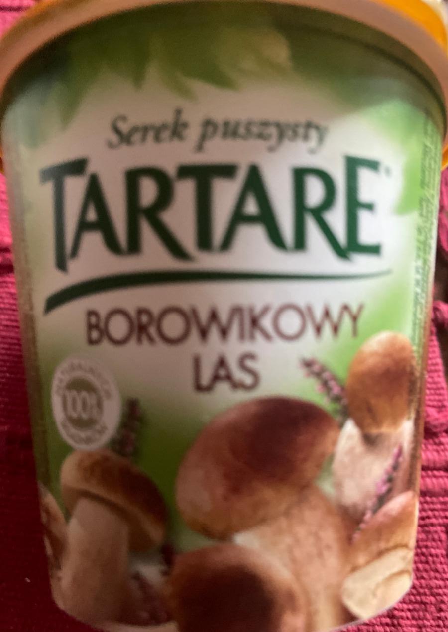 Zdjęcia - Tartare Borowikowy Las Serek twarogowy z borowikami 150 g