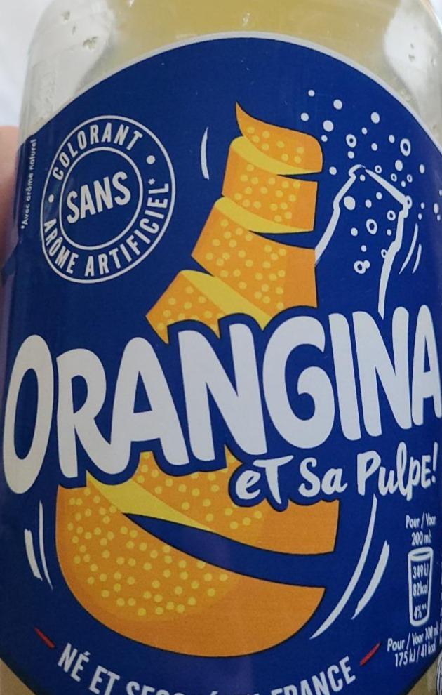 Zdjęcia - orangina et sa pulpe