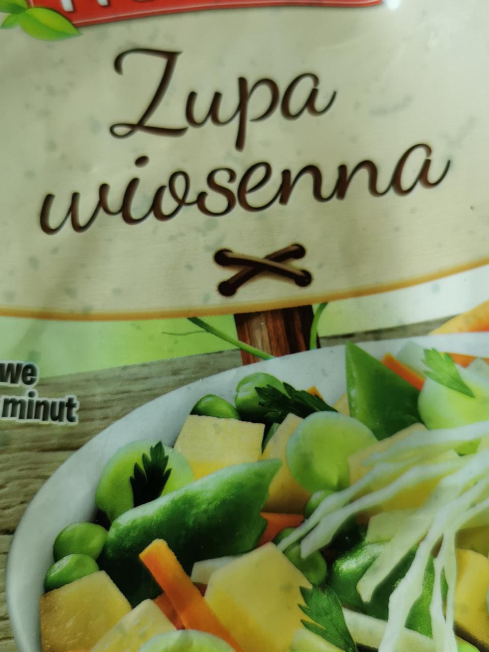 Zdjęcia - Zupa wiosenna Freshona