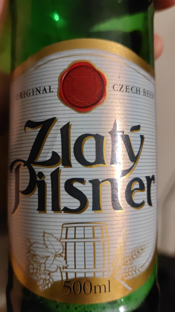 Zdjęcia - Piwo Zlaty Pilsner