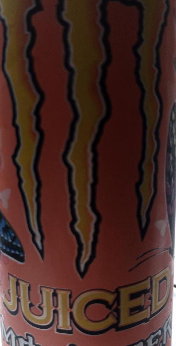 Zdjęcia - monster energy monarch