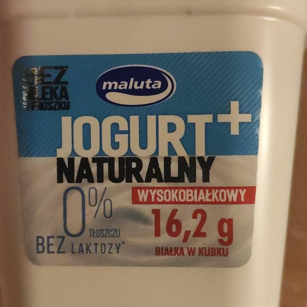 Zdjęcia - Jogurt naturalny + wysokobiałkowy bez laktozy Maluta