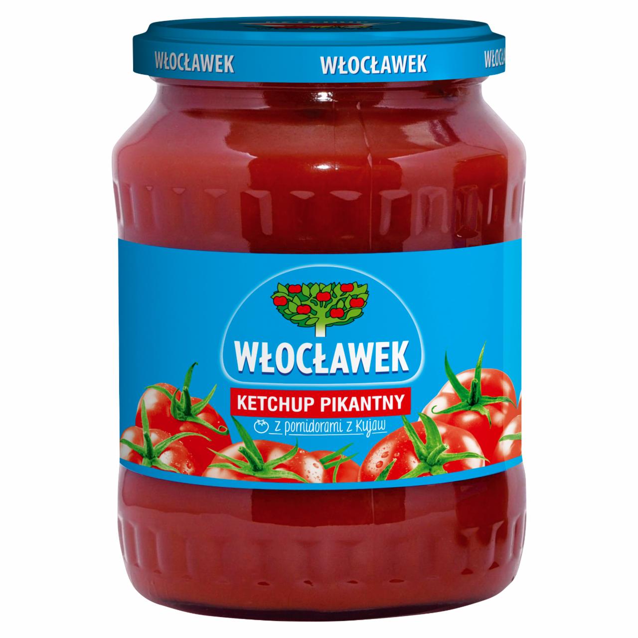 Zdjęcia - Włocławek Ketchup pikantny 740 g