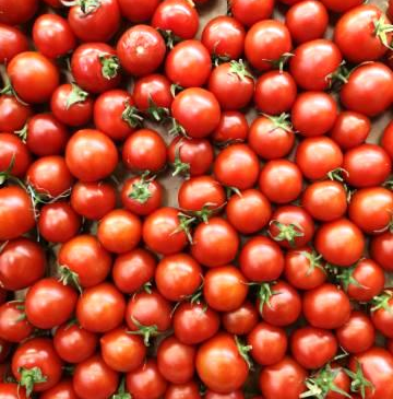Zdjęcia - Pomidory cherry
