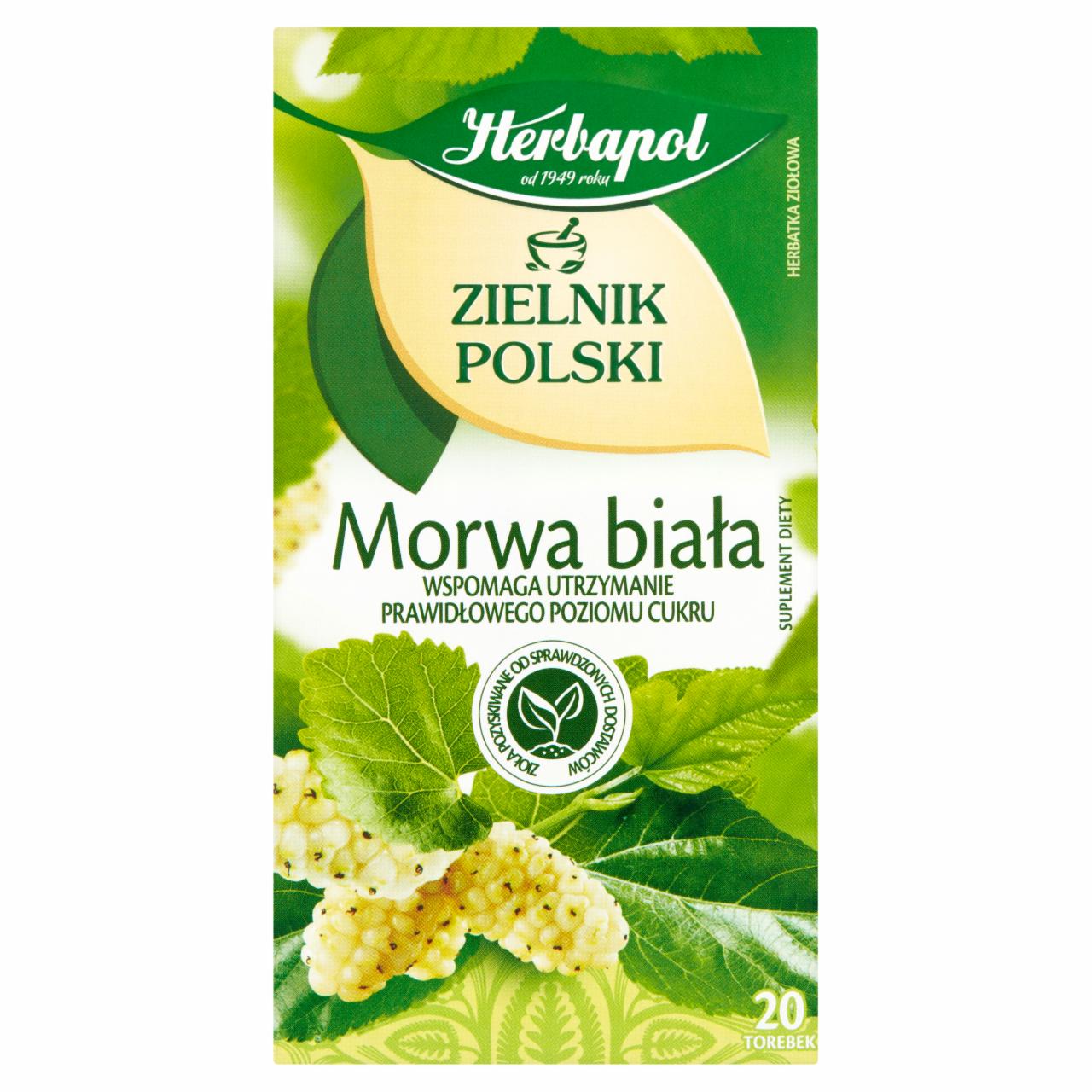 Zdjęcia - Herbapol Zielnik Polski Suplement diety herbatka ziołowa morwa biała 40 g (20 x 2 g)