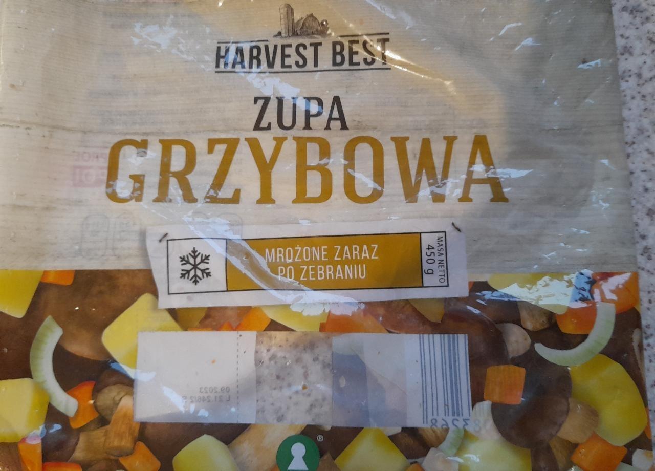 Zdjęcia - zupa grzybowa Harvest Best