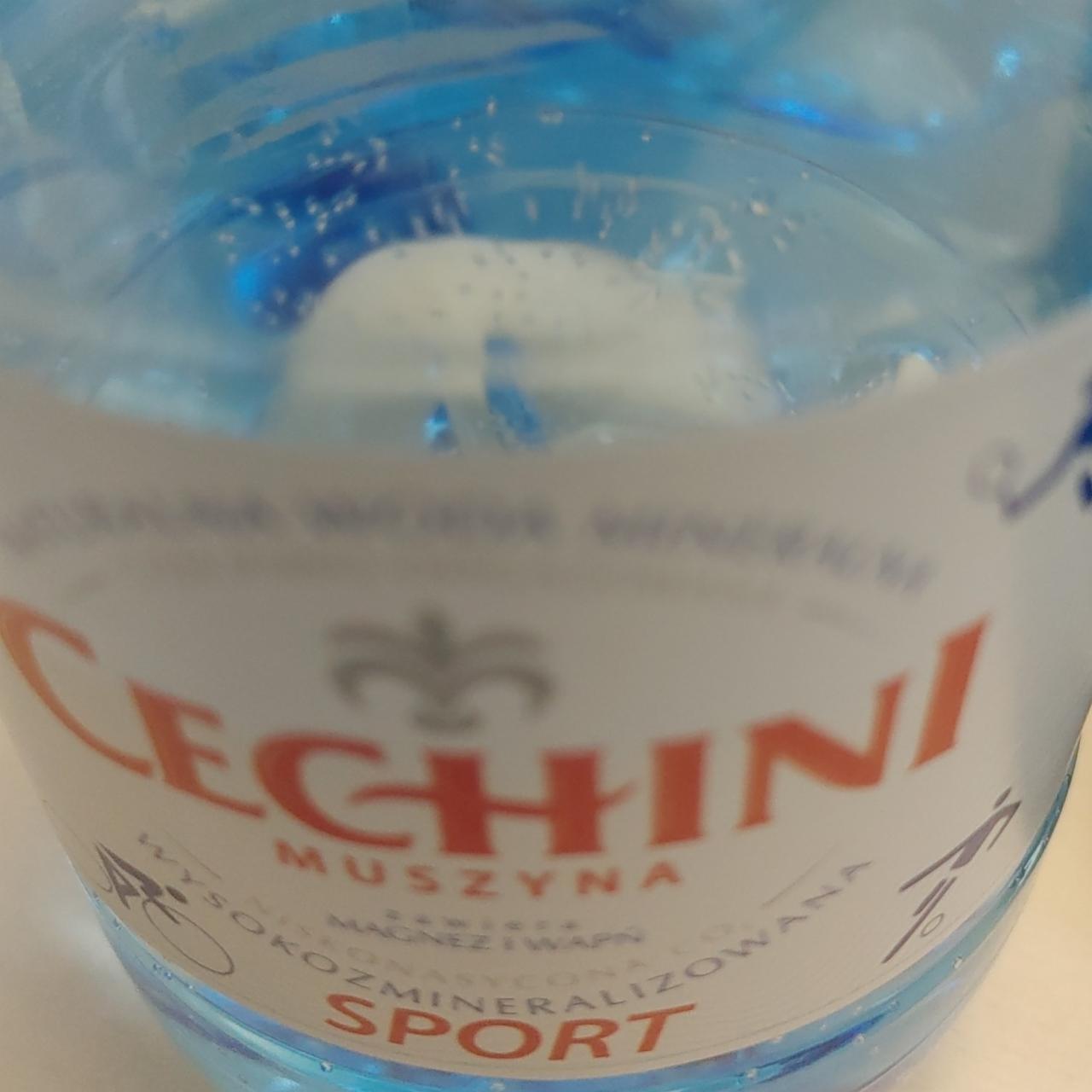 Zdjęcia - Cechini Muszyna sport