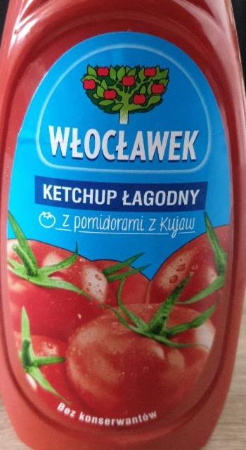 Zdjęcia - Ketchup łagodny z pomidorami z kujaw Włocławek