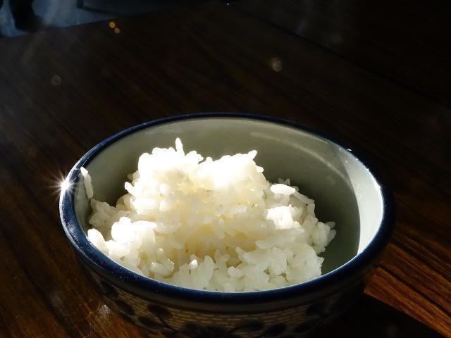 Zdjęcia - ugotowany ryż okrągłoziarnisty