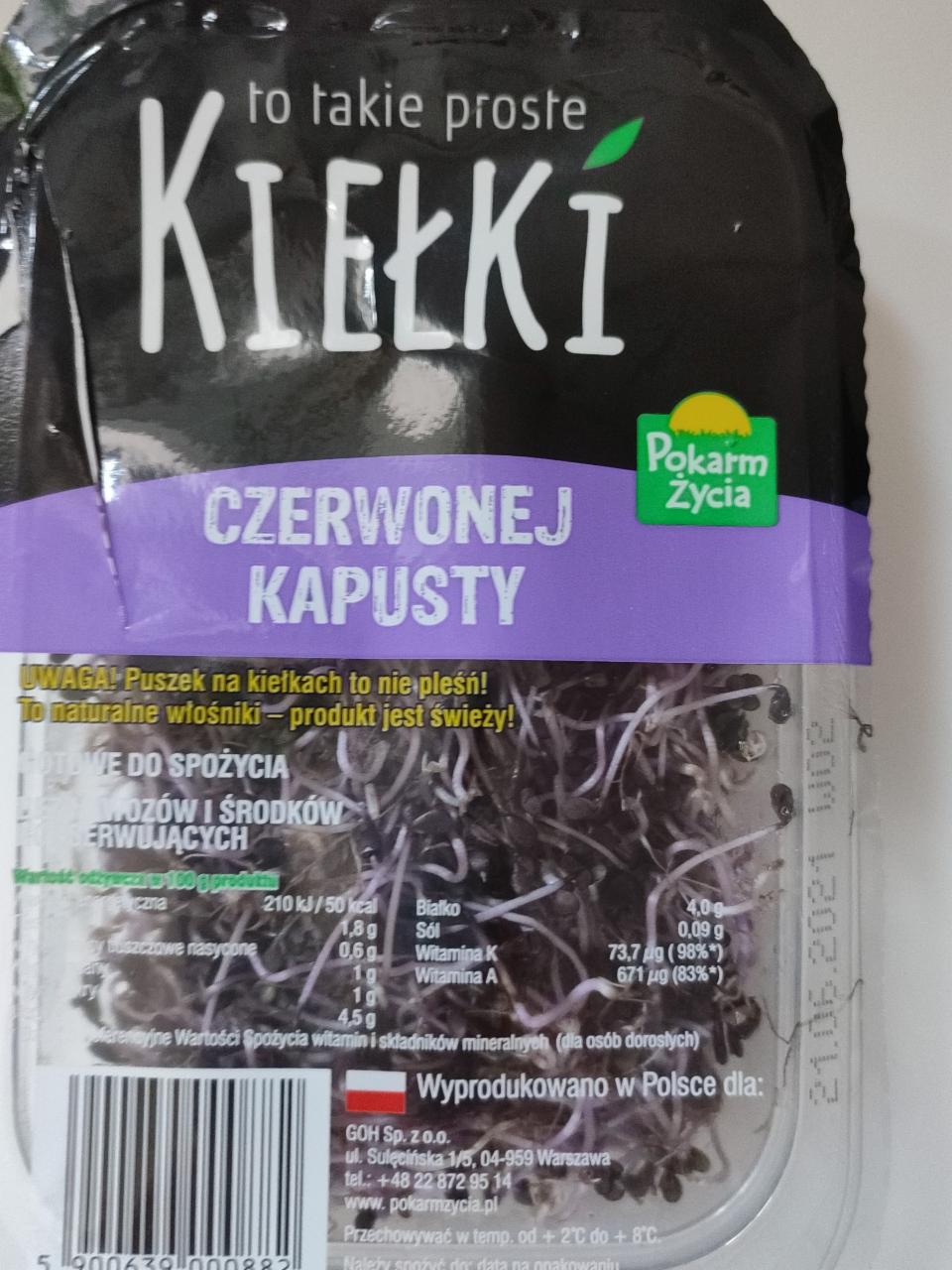 Zdjęcia - Kiełki czerwonej kapusty to takie proste