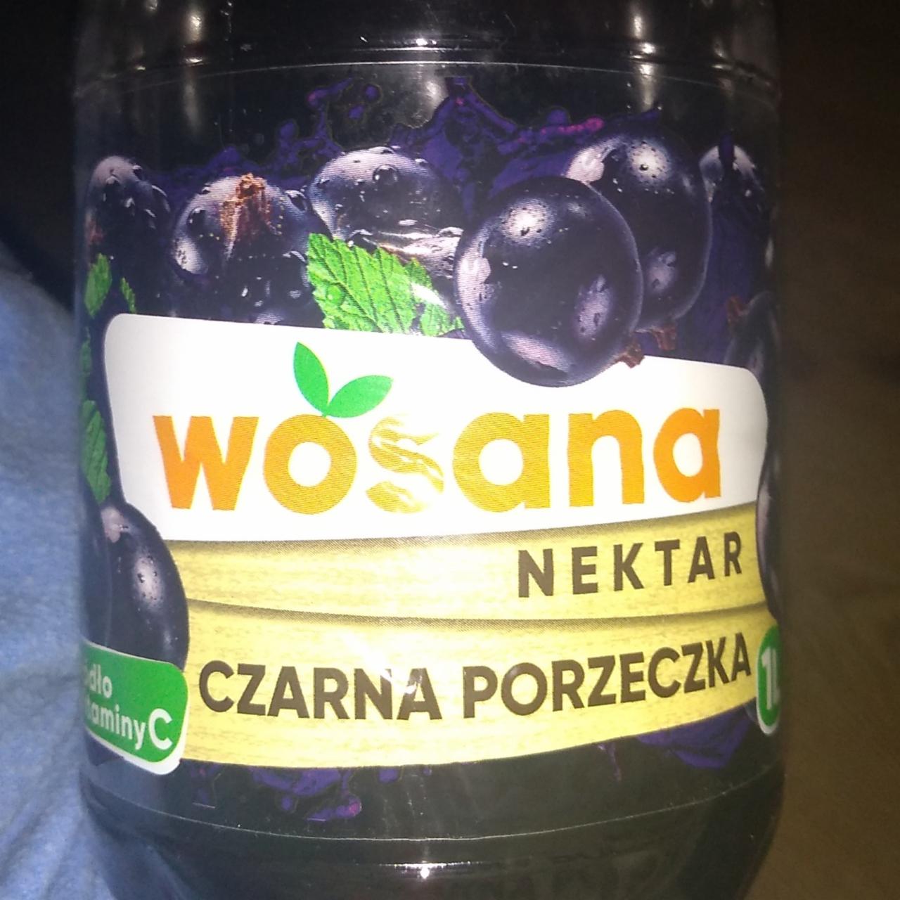 Zdjęcia - nektar czarna porzeczka wosana