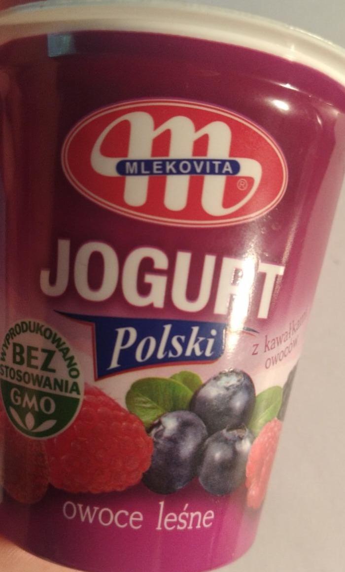 Zdjęcia - Mlekovita Jogurt Polski owoce leśne 150 g