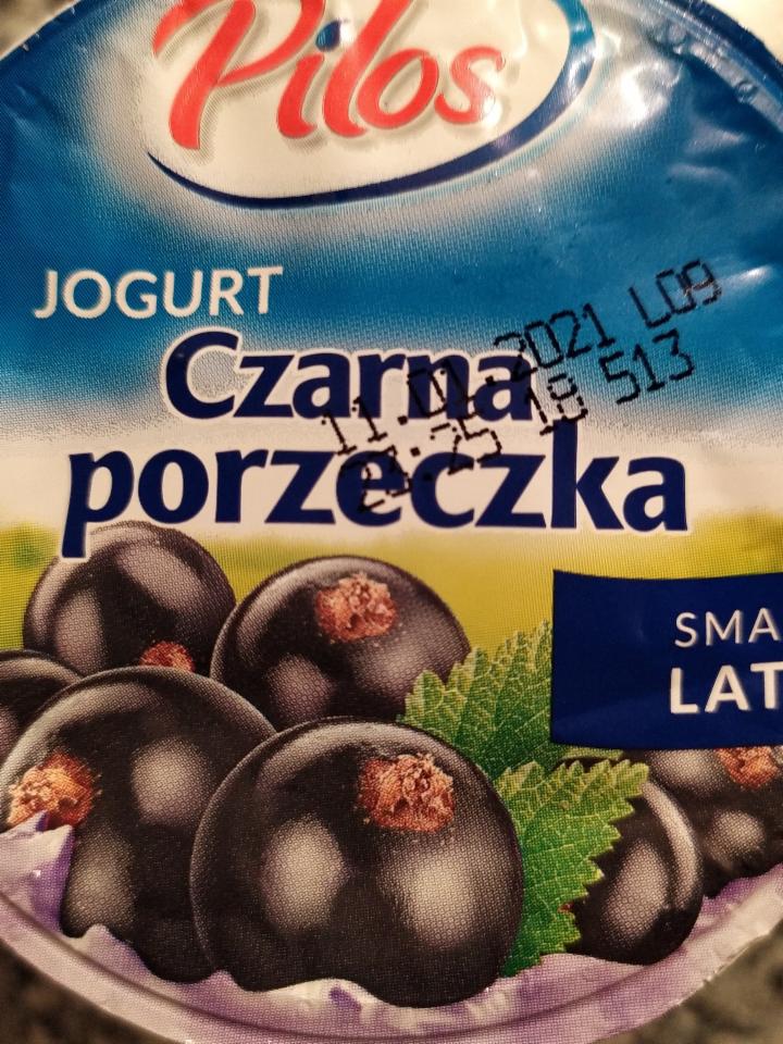 Zdjęcia - jogurt czarna porzeczka Pilos