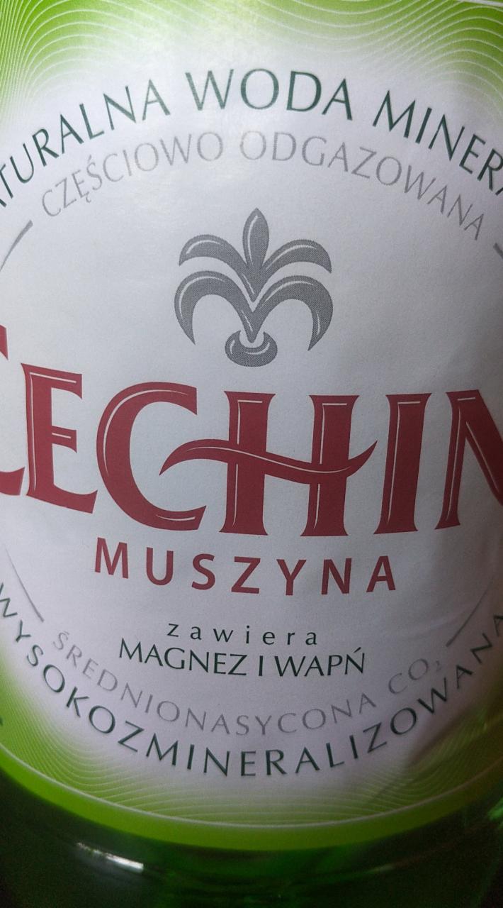 Zdjęcia - Cechini Muszyna