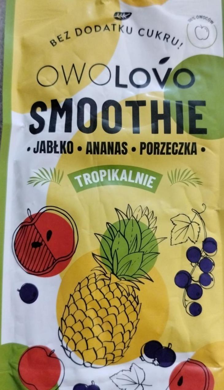 Zdjęcia - Smoothie jabłko ananas porzeczka Owolovo