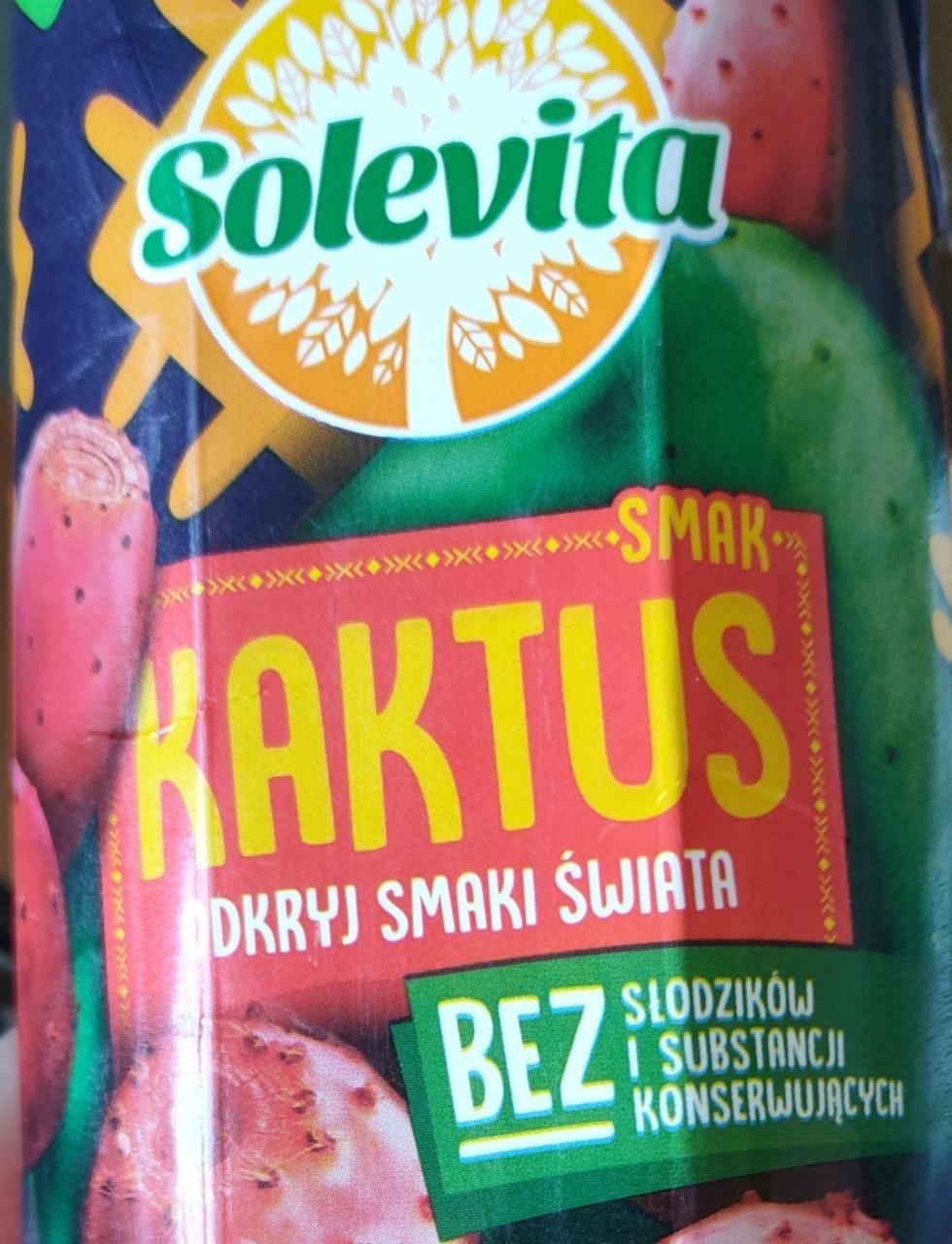 Zdjęcia - solevita kaktus